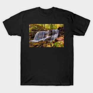 Forest waterfall T-Shirt